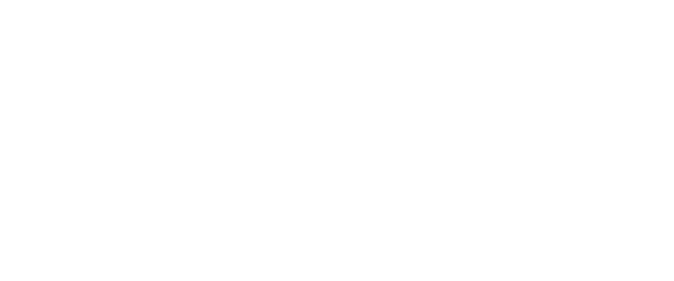 Triton Digital® Horizontal_White